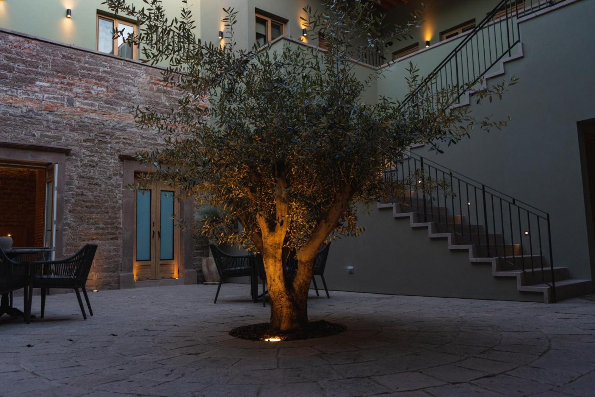Hotel Casa Aranzazu San Luis Potosi San Luis Potosí Exterior foto